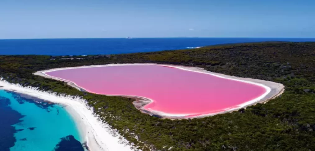 o lago com água rosa da Austrália