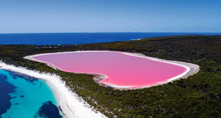 o lago com água rosa da Austrália