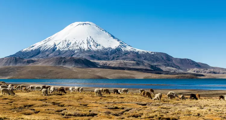 Parque Nacional Lauca