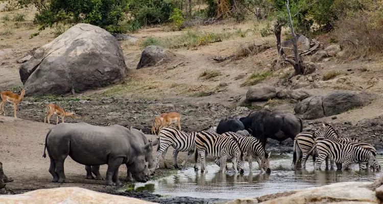 Parque Kruger