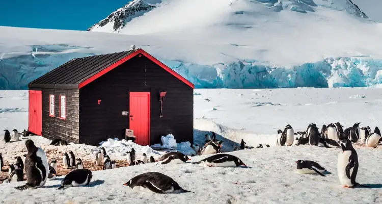 População da Antártida
