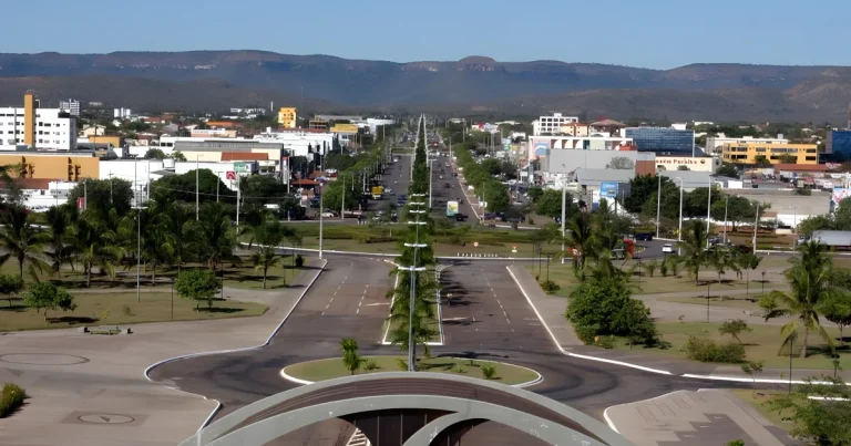 Palmas